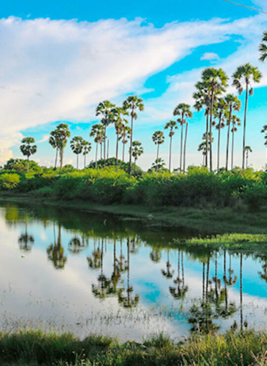 Jaffna