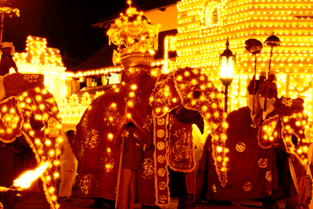 Local Events and Activities