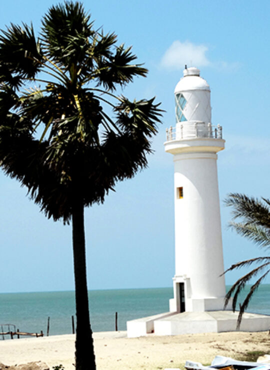 Mannar