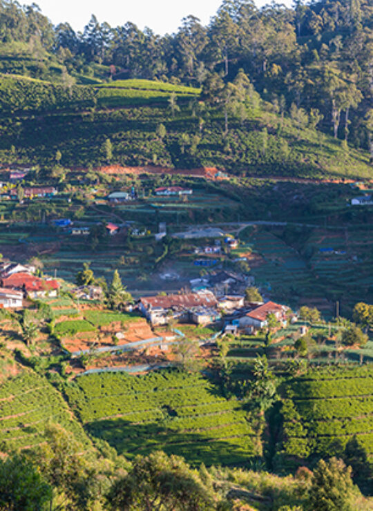 Nuwara Eliya
