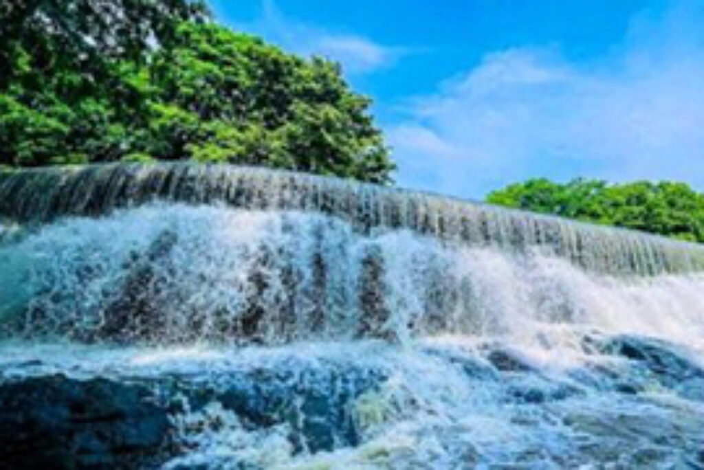 Thekkama Amuna (Anicut)