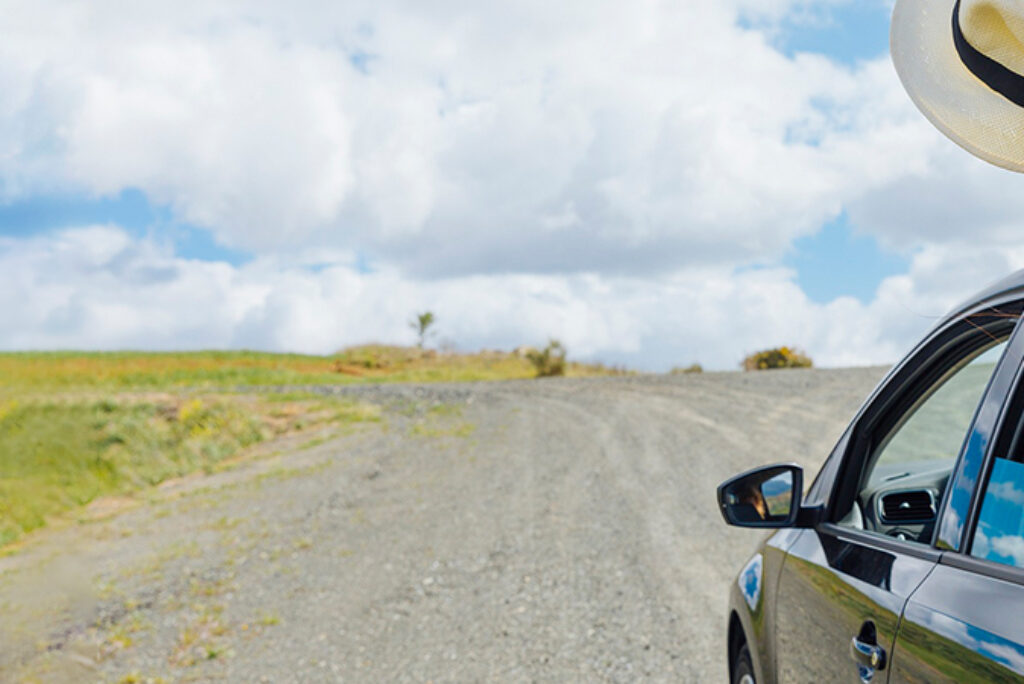 Vehicles & Rentals